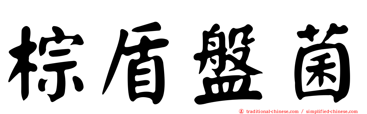 棕盾盤菌