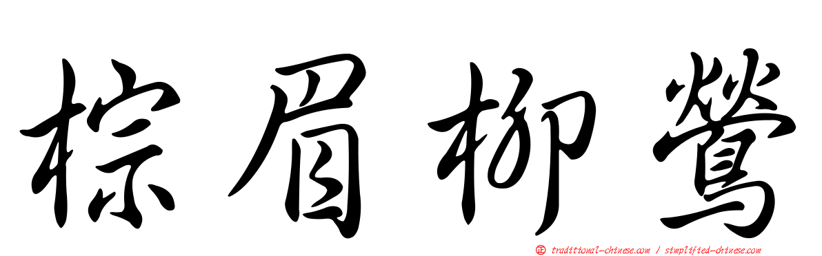 棕眉柳鶯