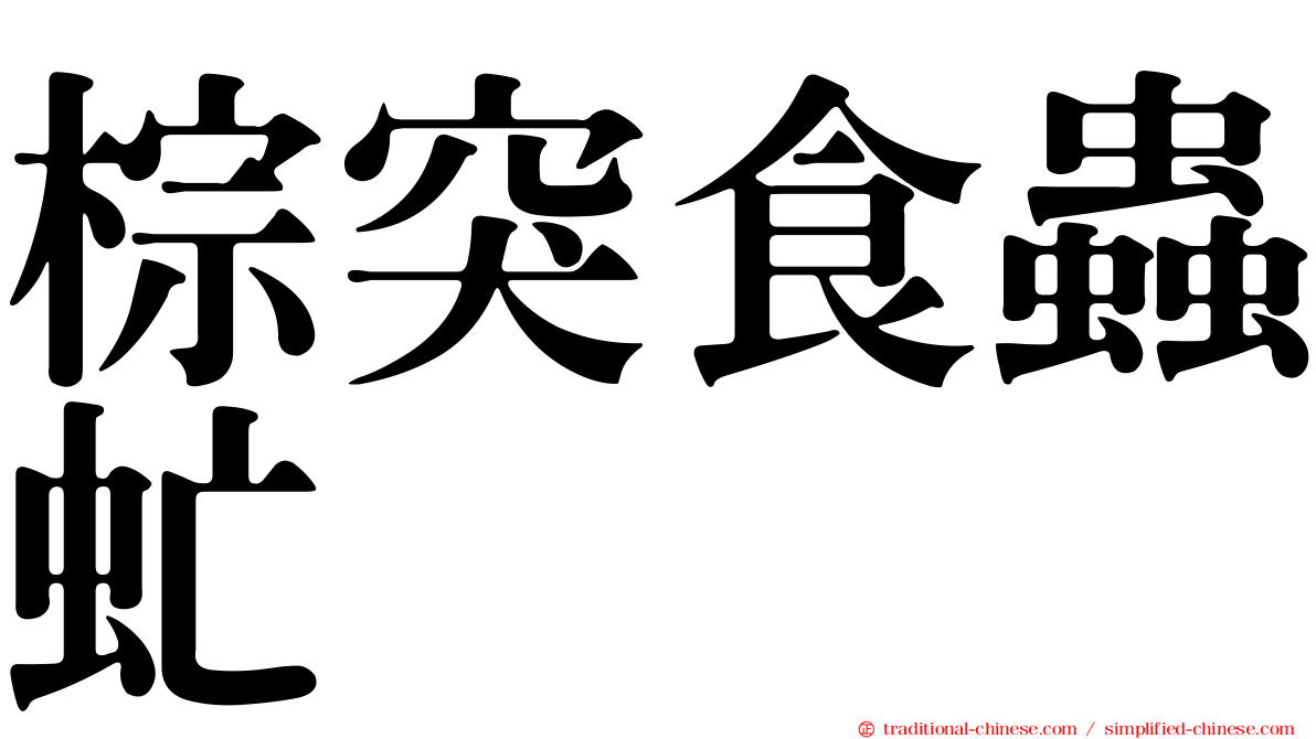 棕突食蟲虻