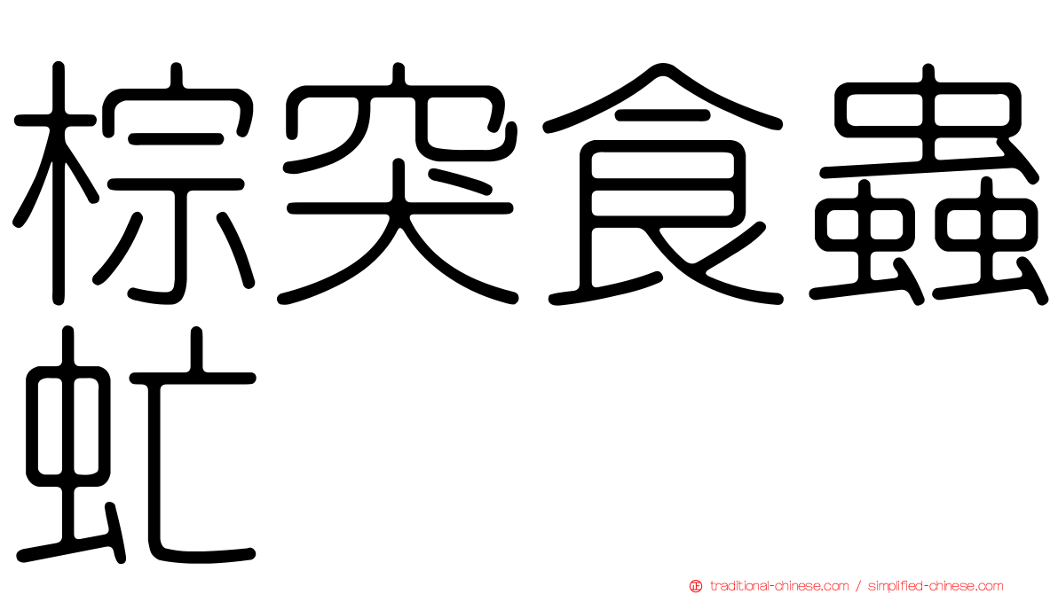 棕突食蟲虻