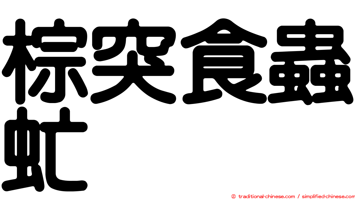 棕突食蟲虻