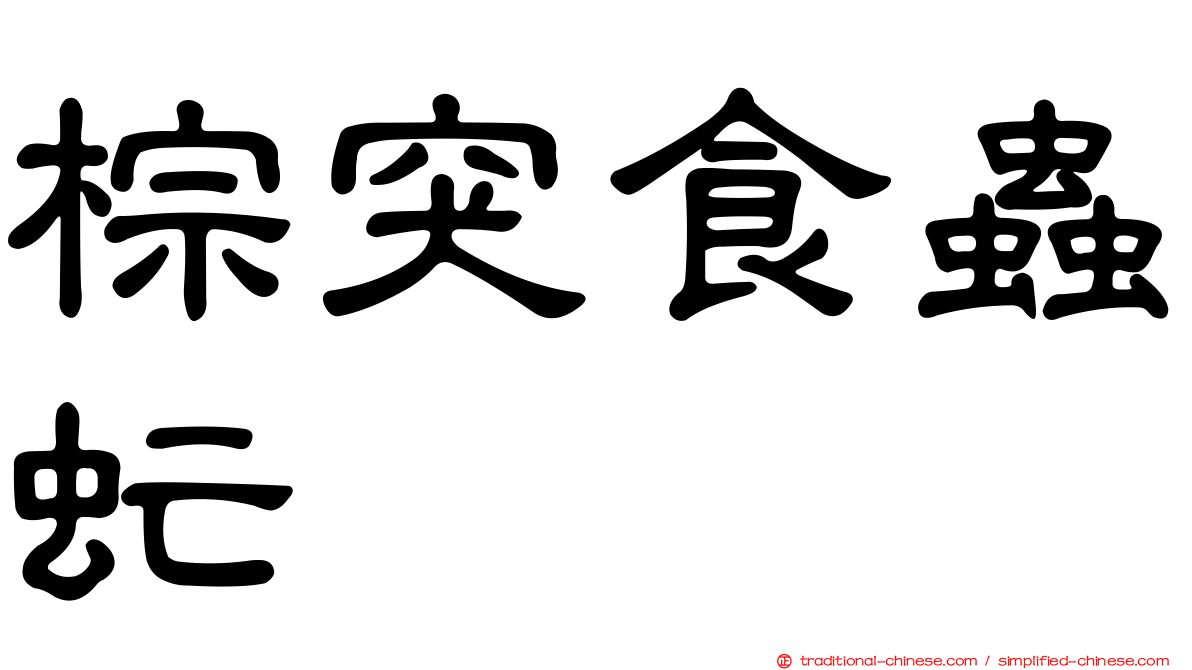 棕突食蟲虻
