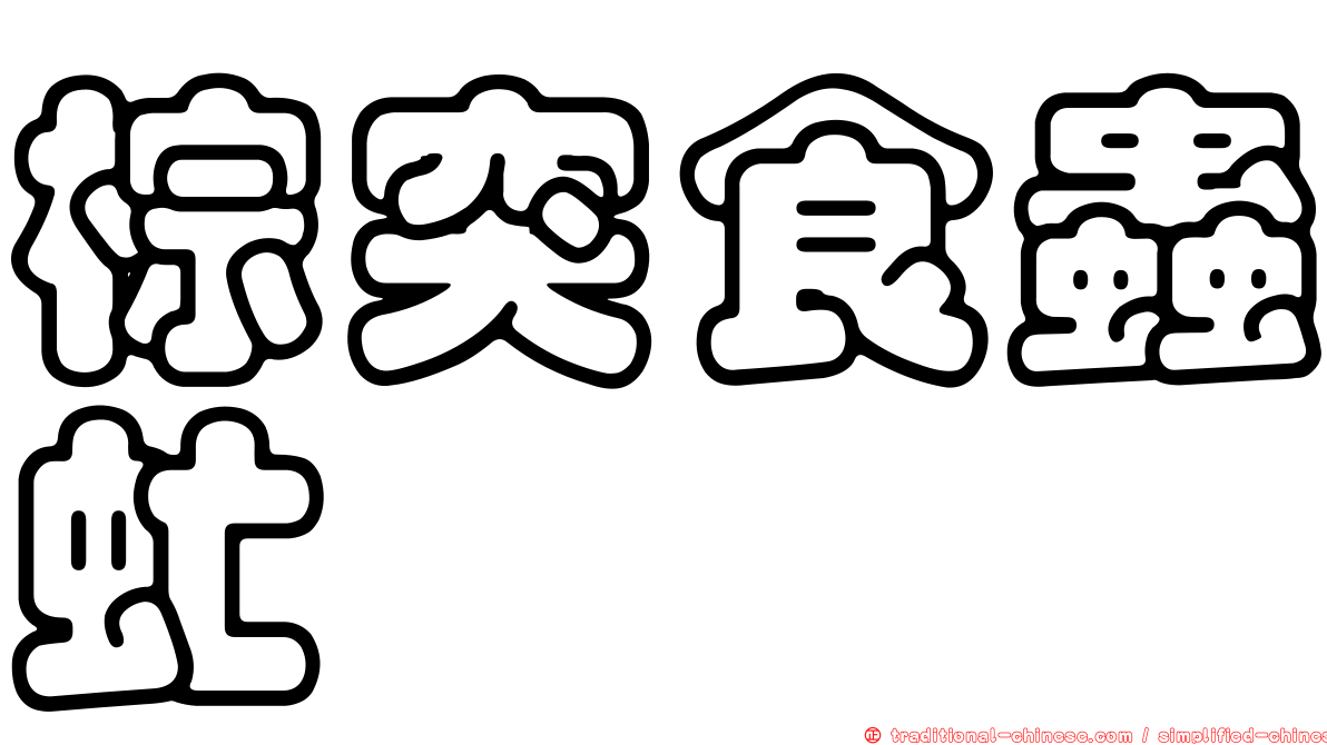 棕突食蟲虻