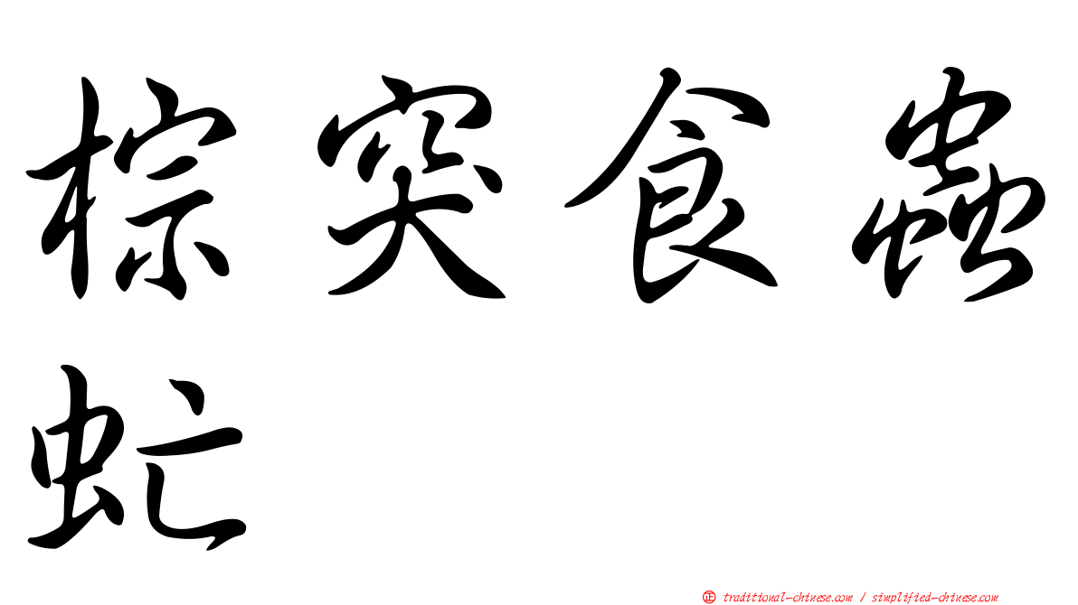 棕突食蟲虻