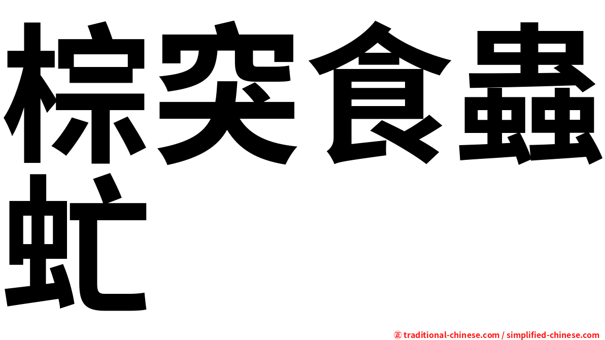 棕突食蟲虻