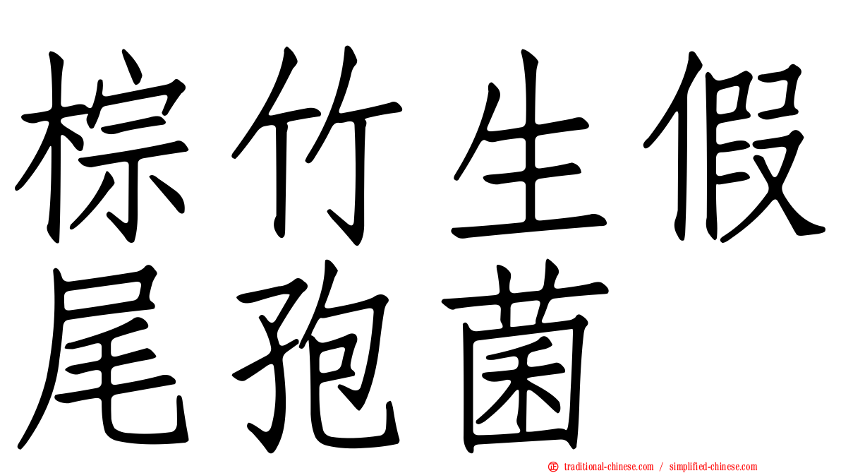 棕竹生假尾孢菌