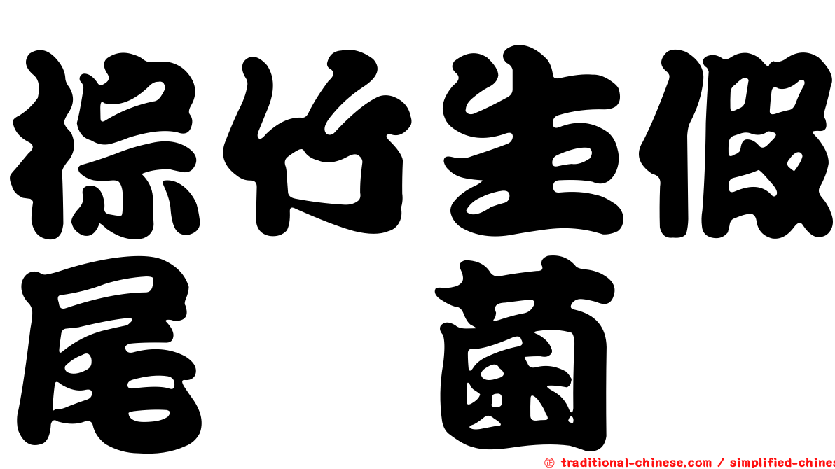 棕竹生假尾孢菌