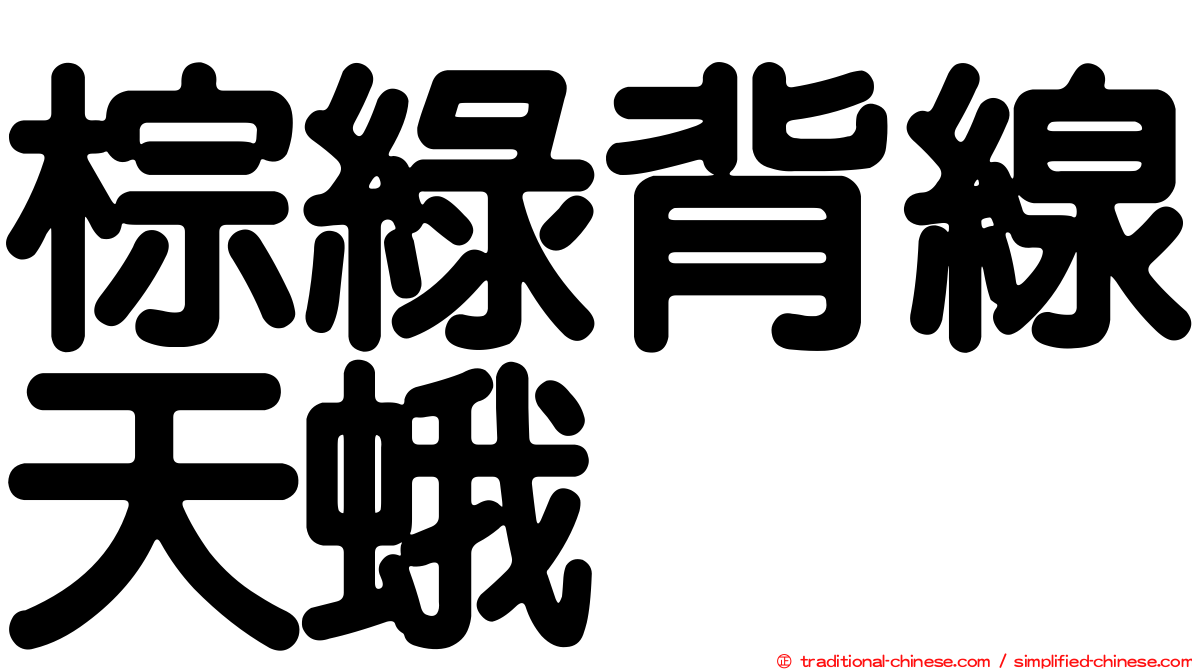 棕綠背線天蛾