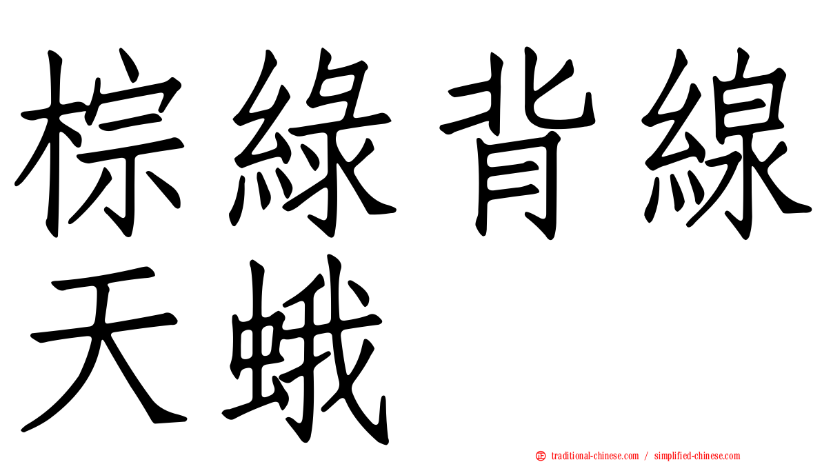 棕綠背線天蛾