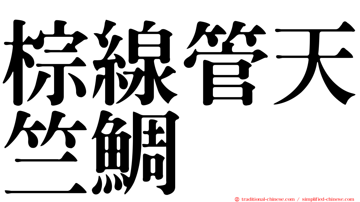 棕線管天竺鯛