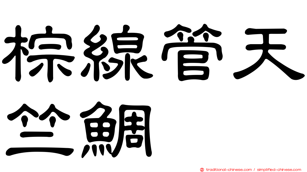 棕線管天竺鯛