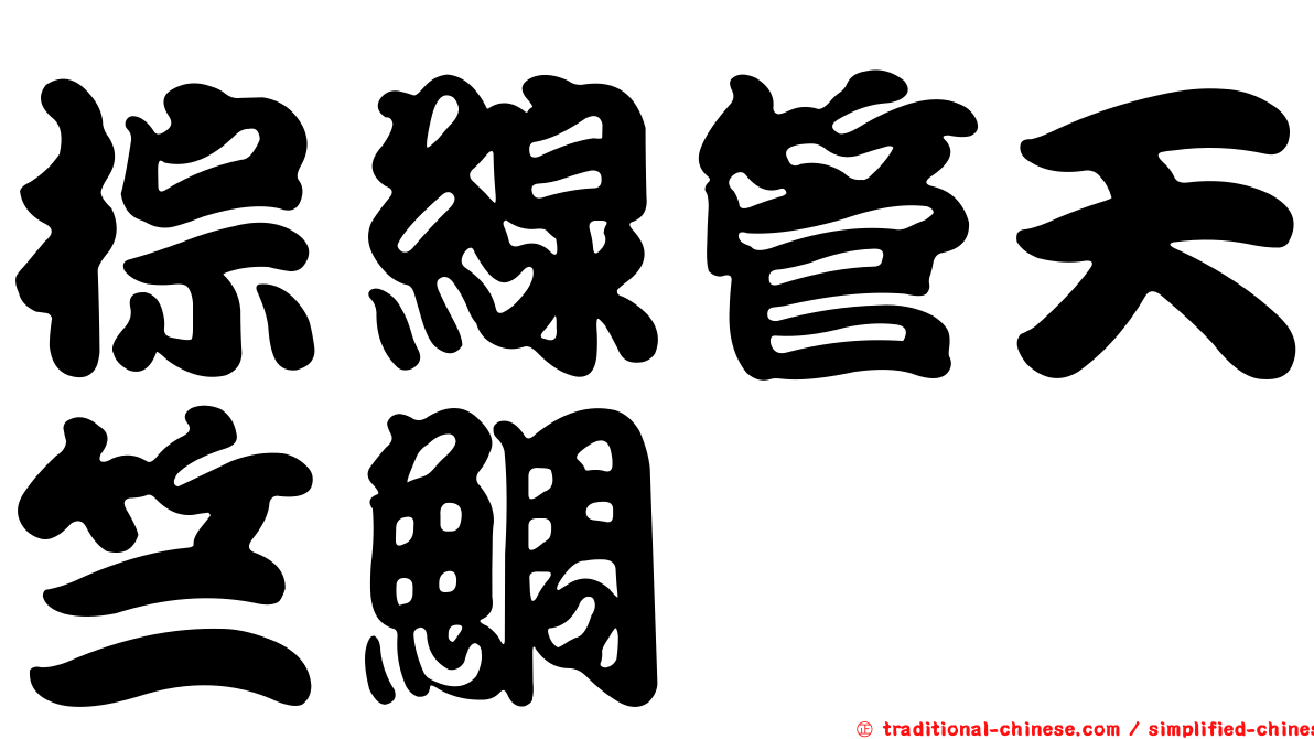 棕線管天竺鯛