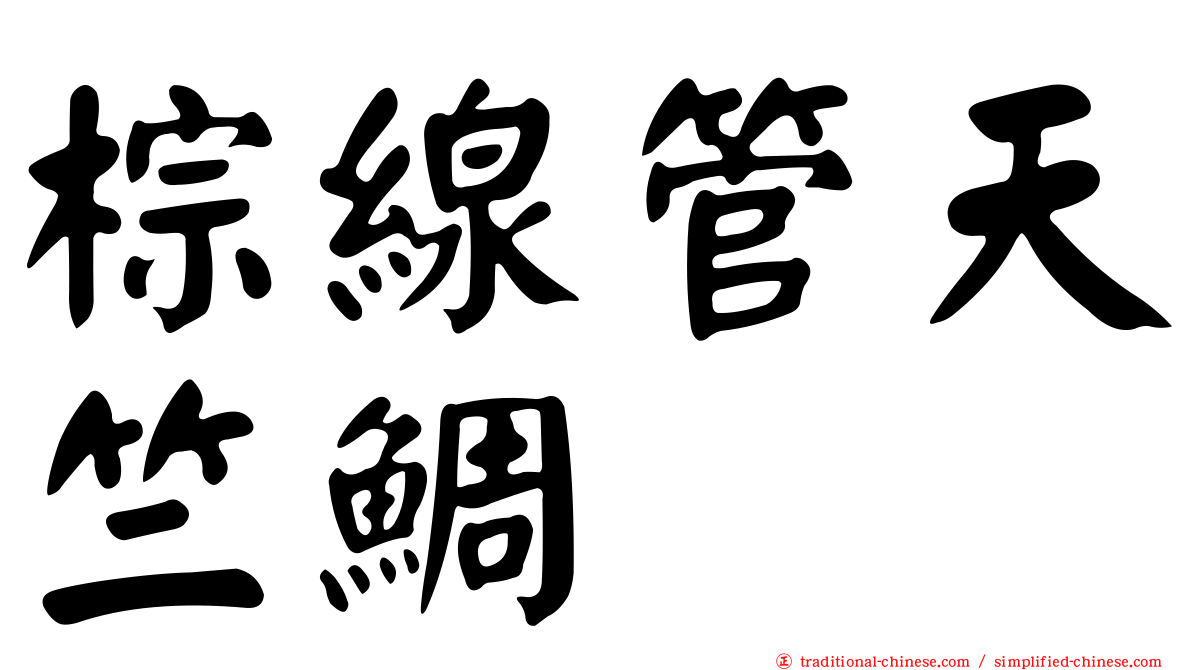 棕線管天竺鯛