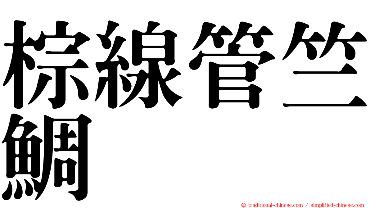 棕線管竺鯛