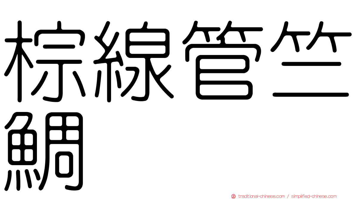 棕線管竺鯛