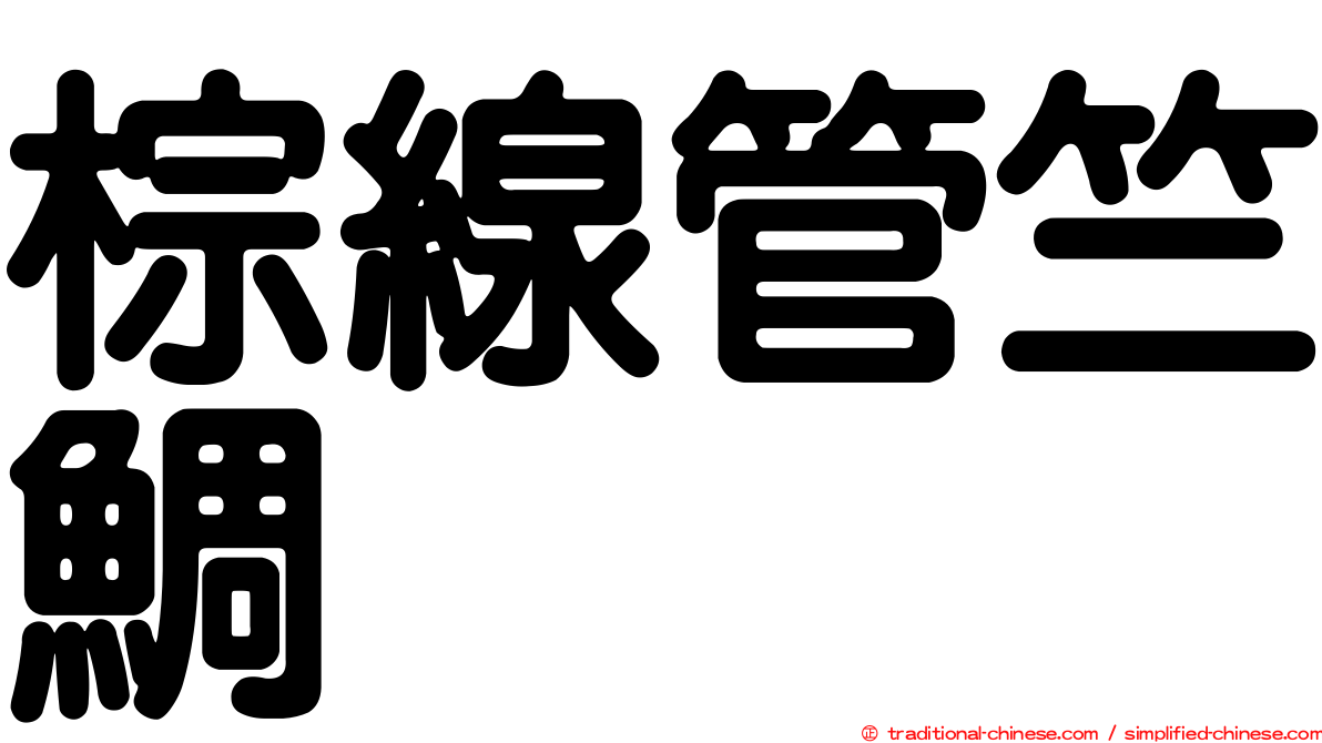 棕線管竺鯛