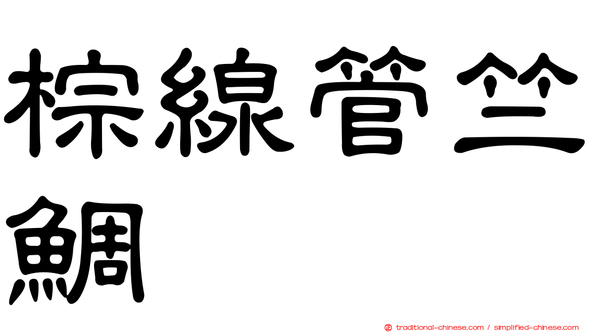 棕線管竺鯛