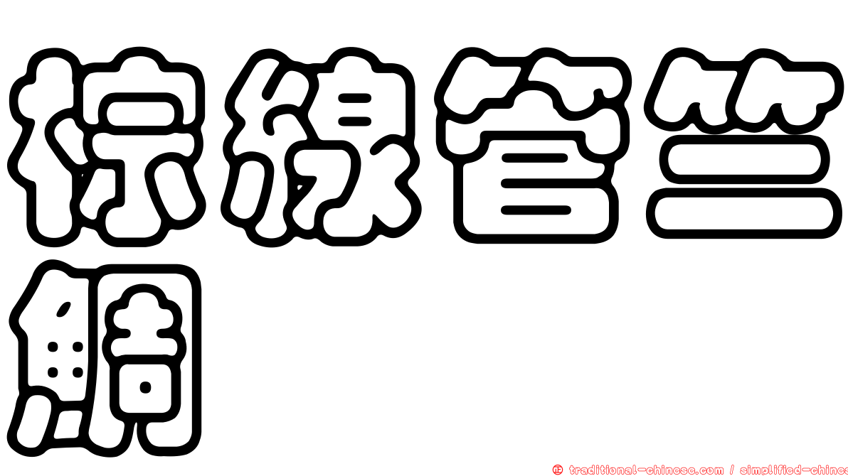 棕線管竺鯛