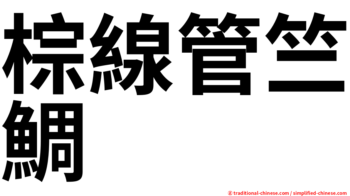 棕線管竺鯛