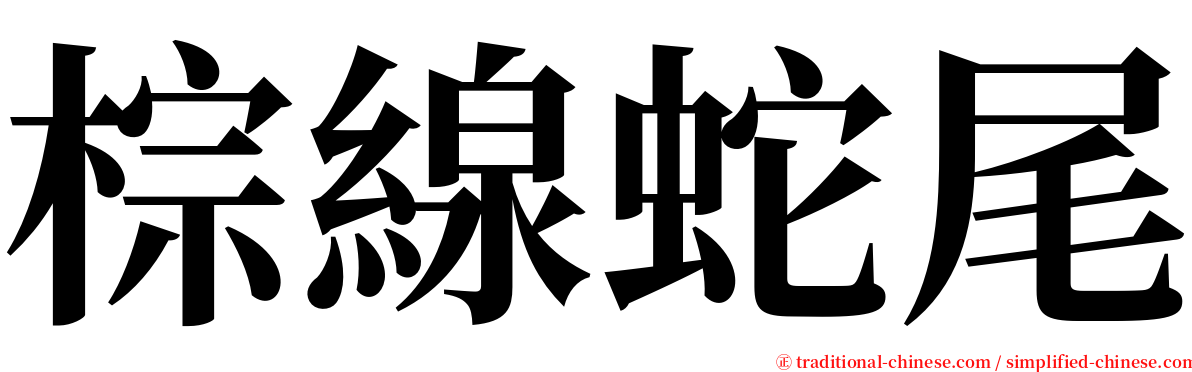 棕線蛇尾 serif font