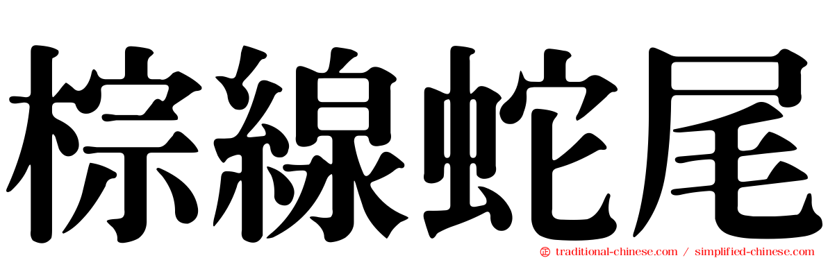 棕線蛇尾