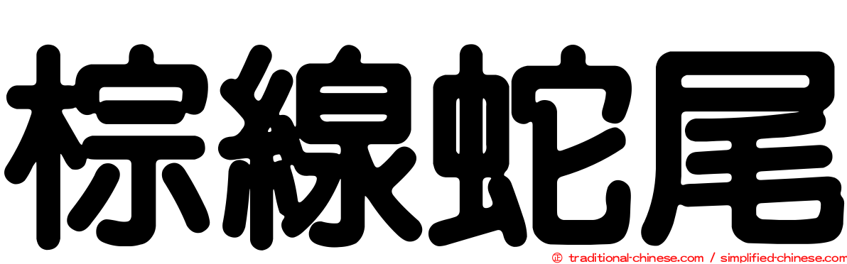 棕線蛇尾