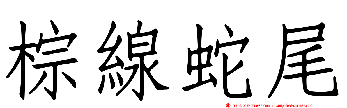 棕線蛇尾