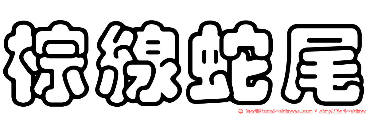 棕線蛇尾