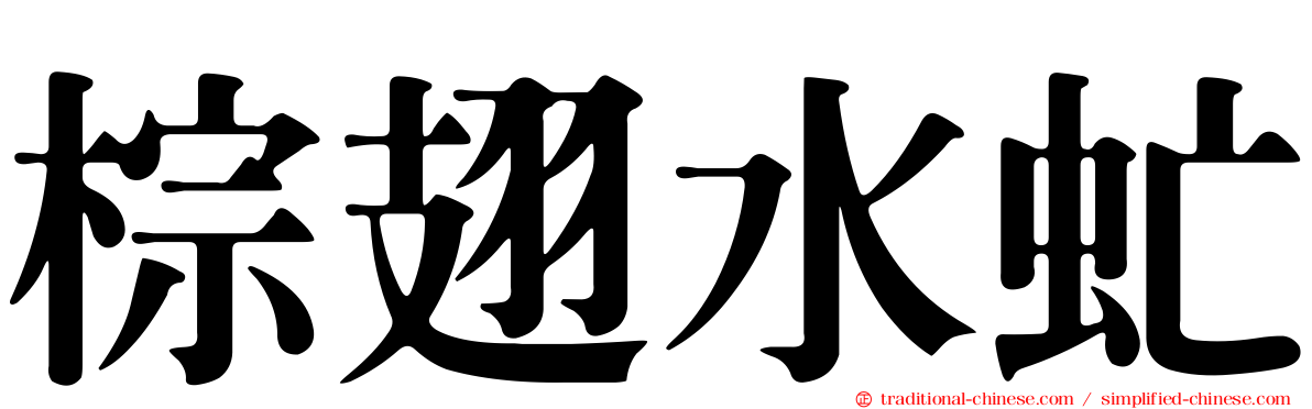 棕翅水虻