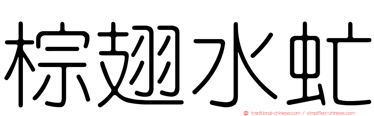 棕翅水虻