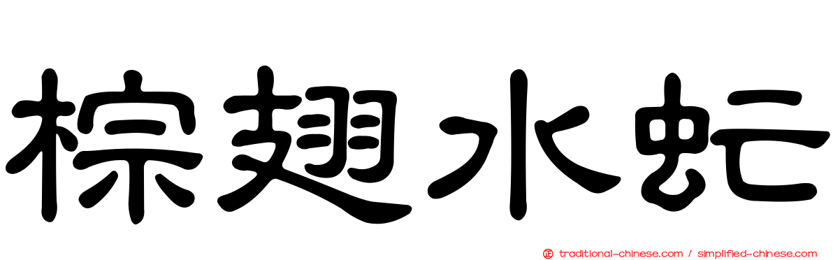 棕翅水虻