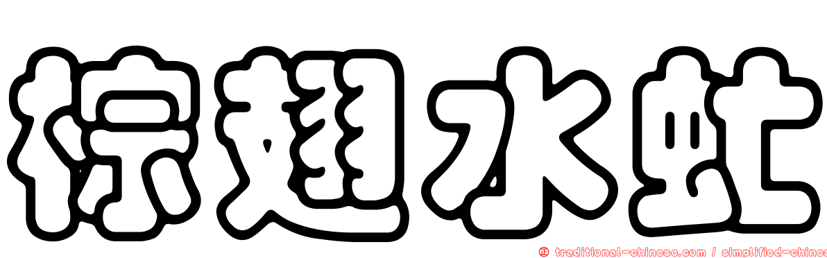 棕翅水虻