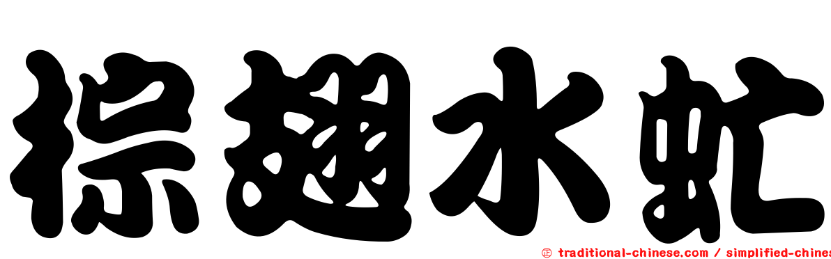 棕翅水虻