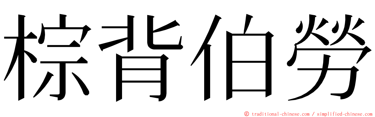棕背伯勞 ming font
