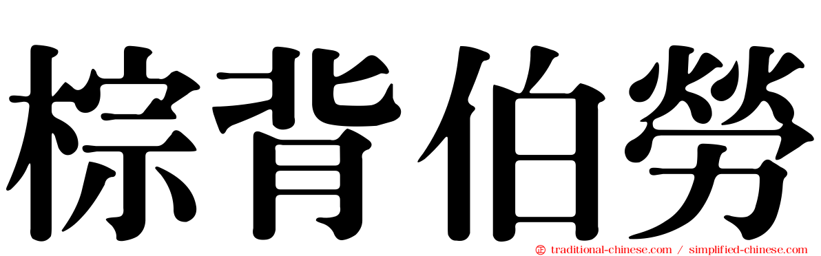 棕背伯勞