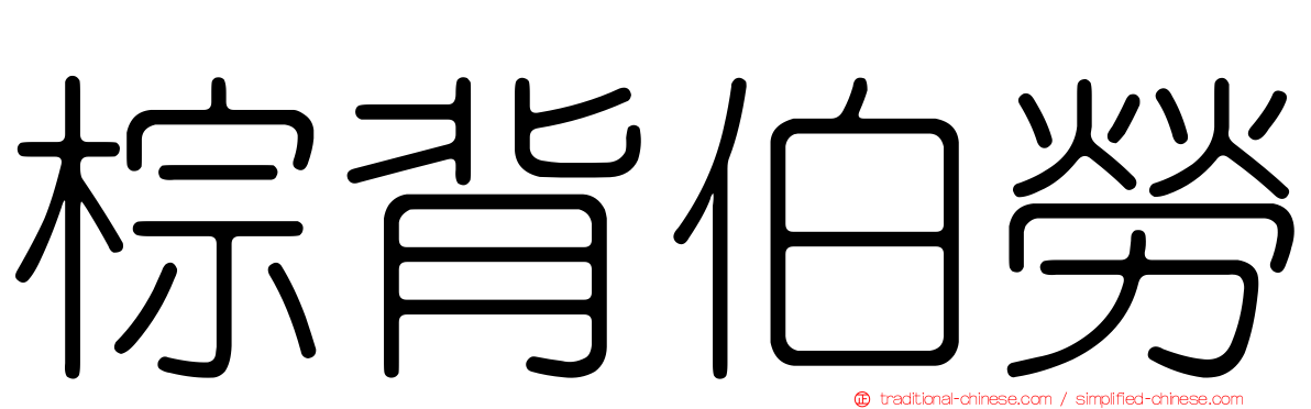 棕背伯勞