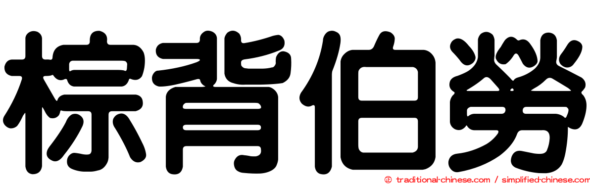 棕背伯勞