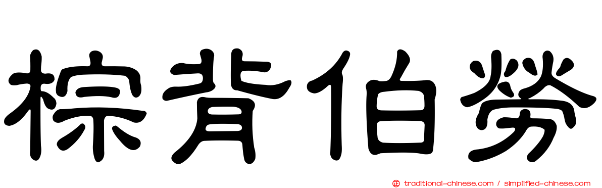棕背伯勞