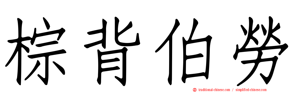 棕背伯勞
