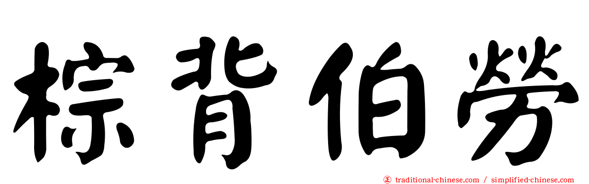 棕背伯勞