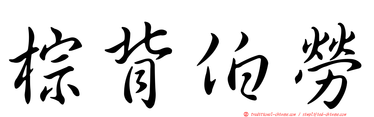 棕背伯勞