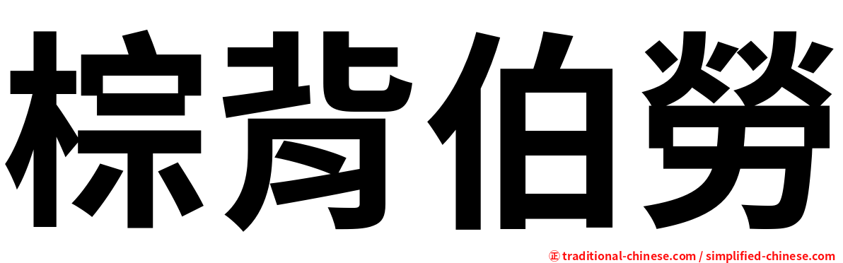棕背伯勞