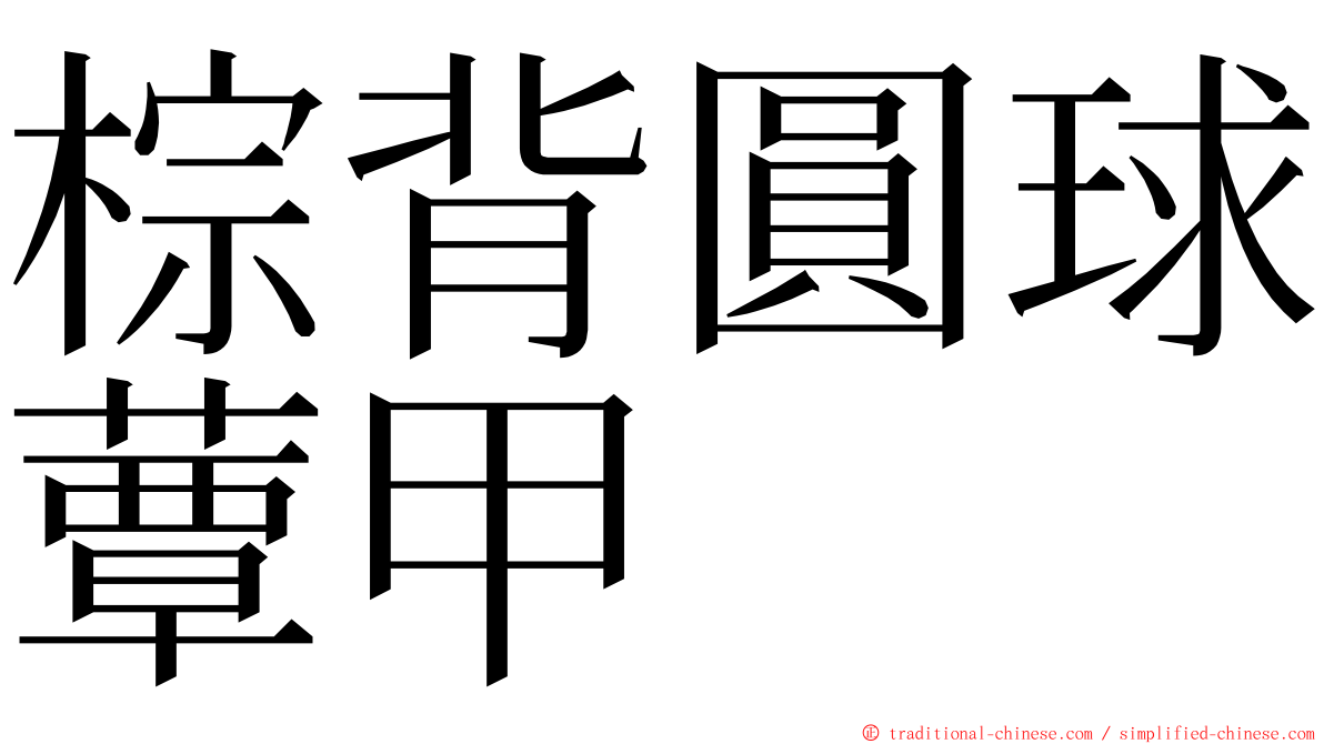 棕背圓球蕈甲 ming font