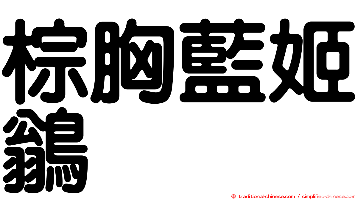 棕胸藍姬鶲