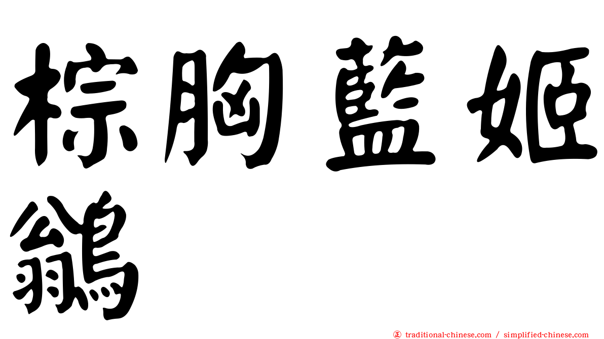 棕胸藍姬鶲