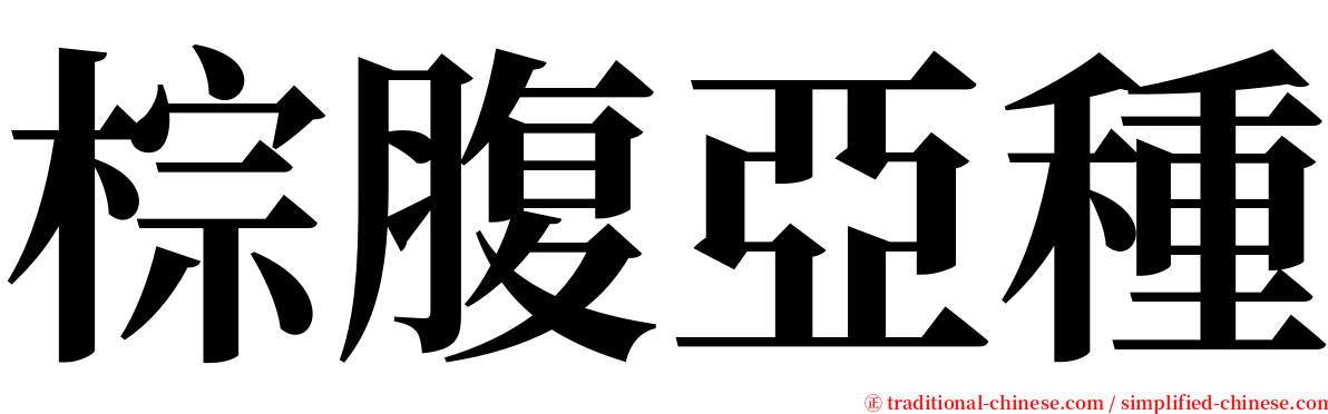 棕腹亞種 serif font