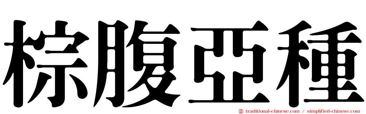 棕腹亞種