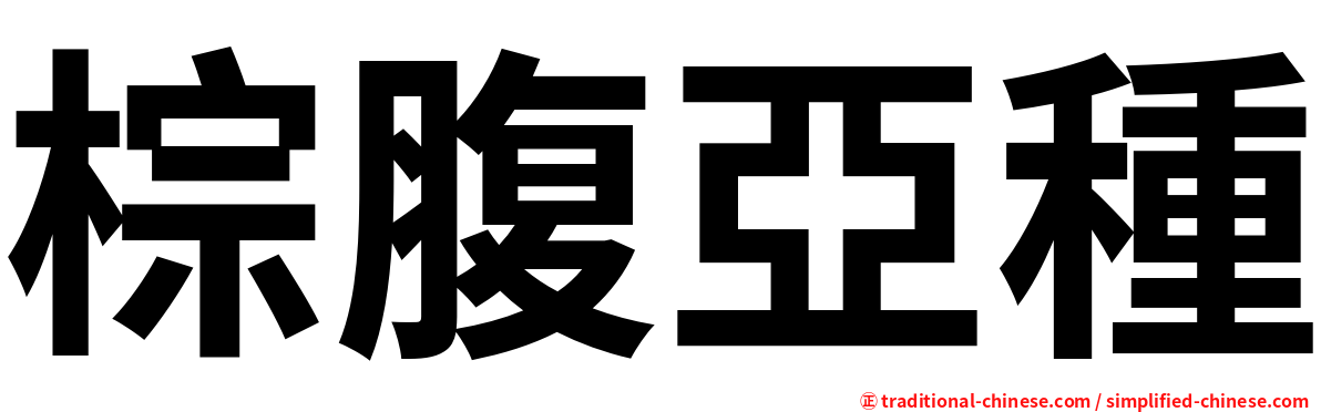 棕腹亞種