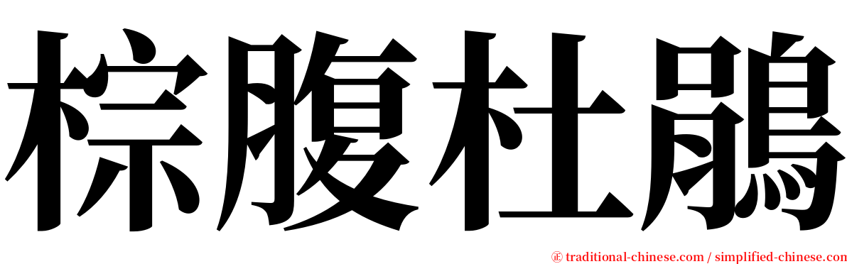 棕腹杜鵑 serif font
