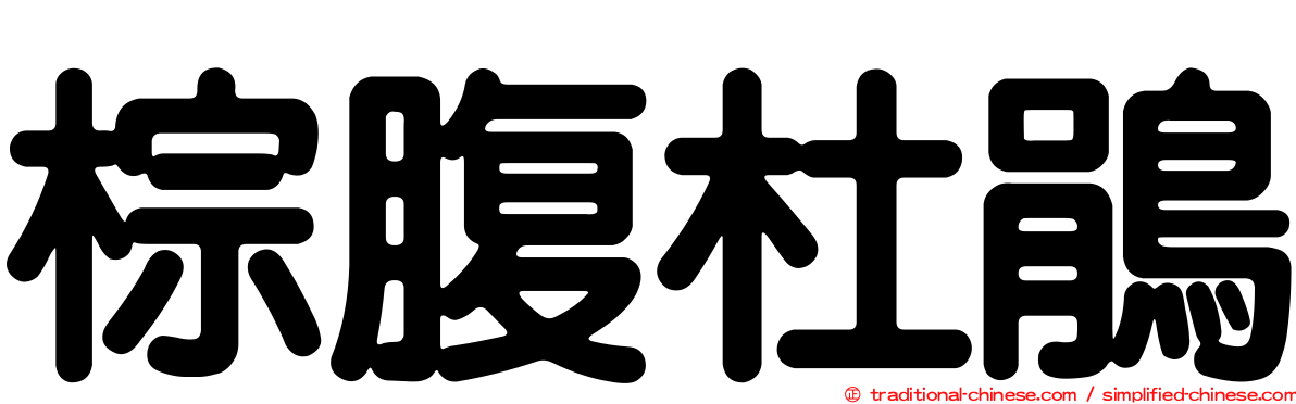 棕腹杜鵑
